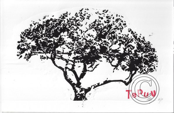 pohutukawa