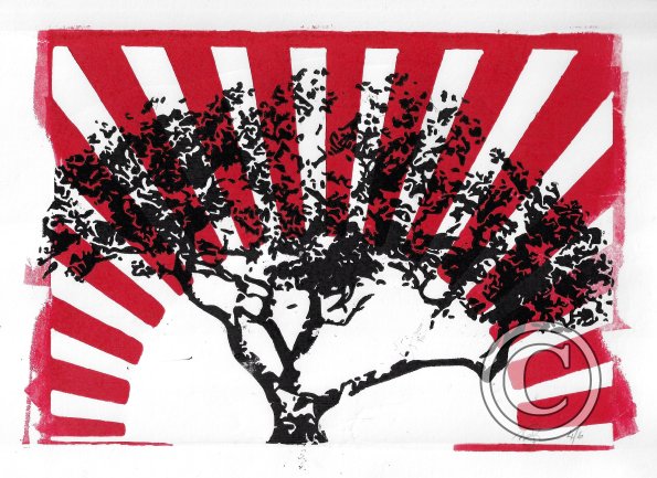 Pohutukawa